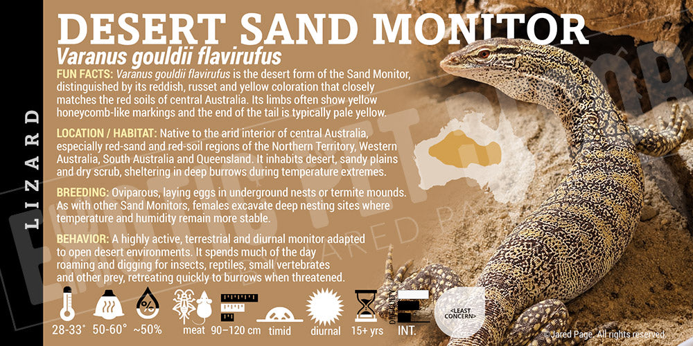 Varanus gouldii flavirufus 'Desert Sand Monitor' Lizard label
