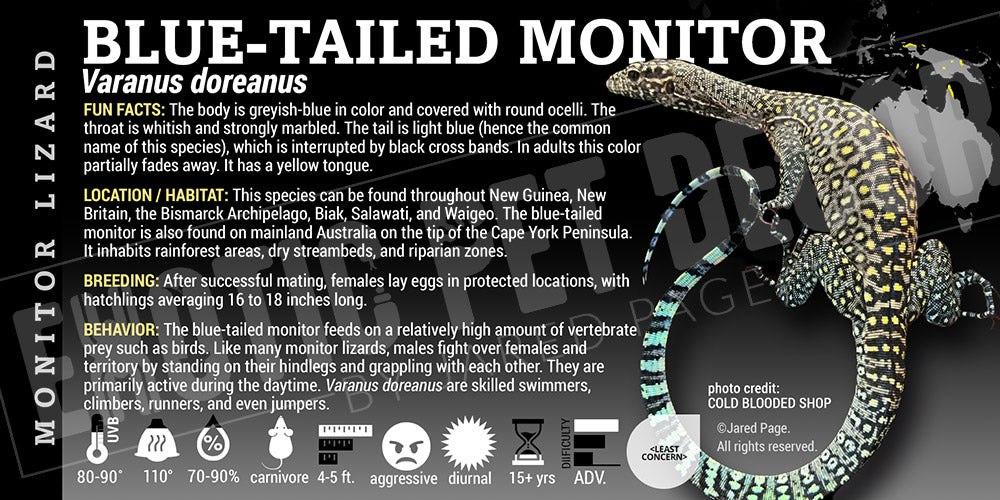 Monitor Lizard Cards and Enclosure Labels – Exotic Pet Decor