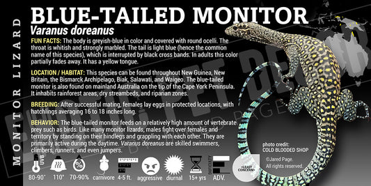 Varanus doreanus 'Blue-tailed Monitor' Lizard label