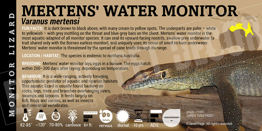 Varanus mertensi 'Mertens' Water Monitor' Lizard label