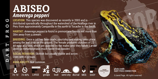 Ameerega pepperi 'Abiseo' Dart Frog Label