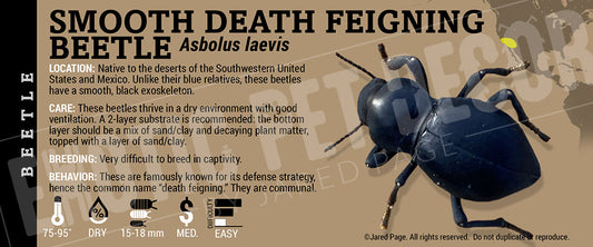 Asbolus laevis 'Smooth Death Feigning' Beetle label