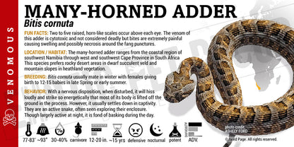 Bitis cornuta 'Many-horned Adder' Snake label