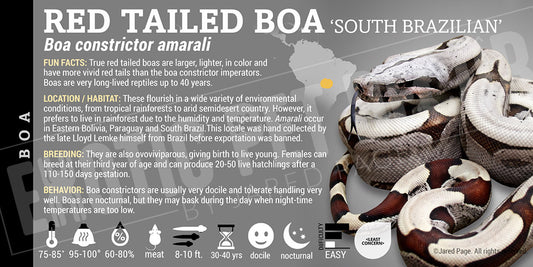 Boa constrictor amarali 'Short-tailed Boa' Snake label