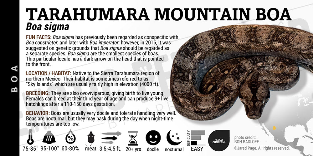 Boa sigma 'Tarahumara Mountain' Boa label