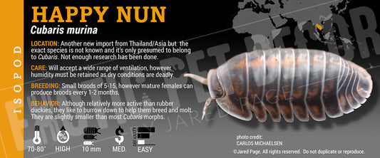 Cubaris sp 'Happy Nun' isopod label