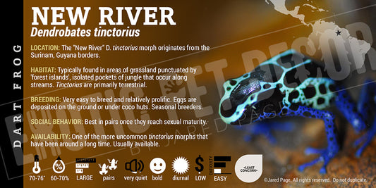 Dendrobates tinctorius 'New River' Dart Frog Label