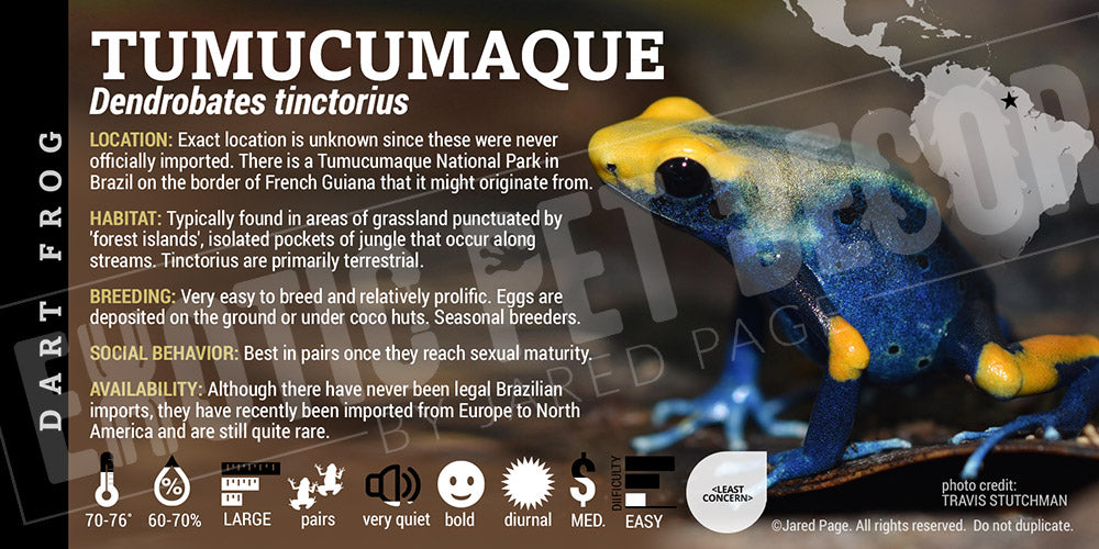 Dendrobates tinctorius 'Tumucumaque' Dart Frog Label