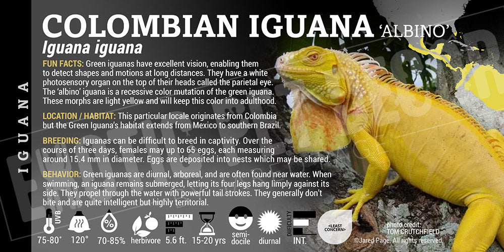 Iguana' IguanaGreen' Iguana Cards and Enclosure Labels β Exotic Pet Decor