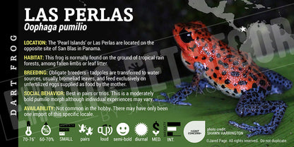 Oophaga pumilio 'Las Perlas' Dart Frog Label