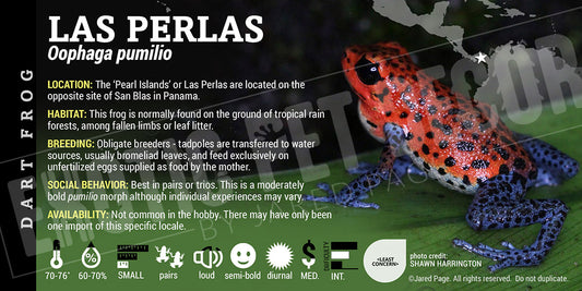 Oophaga pumilio 'Las Perlas' Dart Frog Label