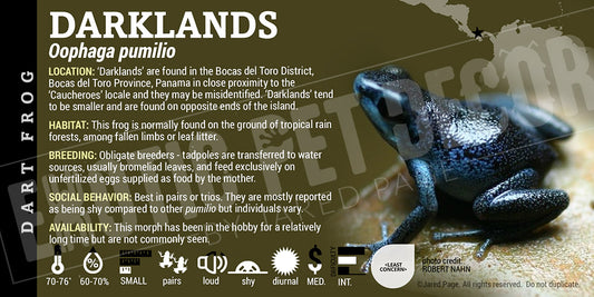 Oophaga pumilio 'Darklands' Dart Frog Label