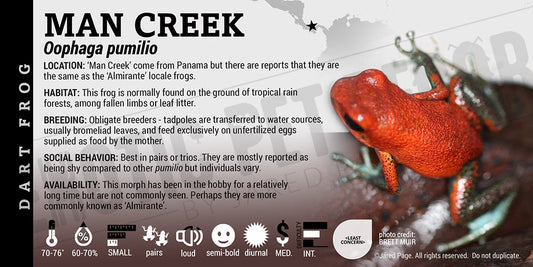 Oophaga pumilio 'Man Creek' Dart Frog Label
