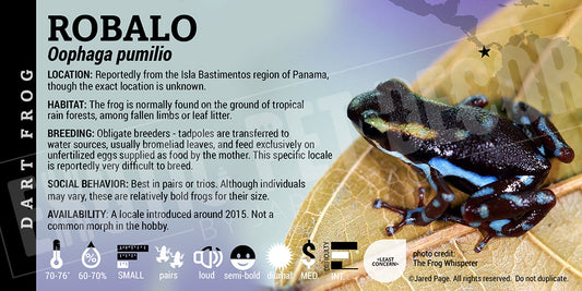 Oophaga pumilio 'Robalo' Dart Frog Label