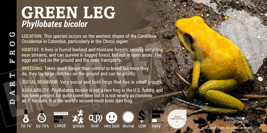 Phyllobates bicolor 'Green Leg' Dart Frog Label