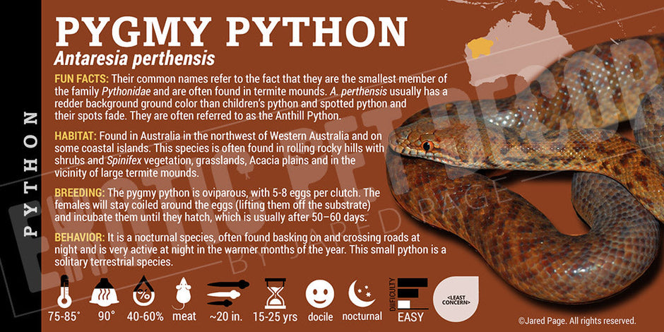Python Snake Collector Cards and Enclosure Labels – Exotic Pet Decor