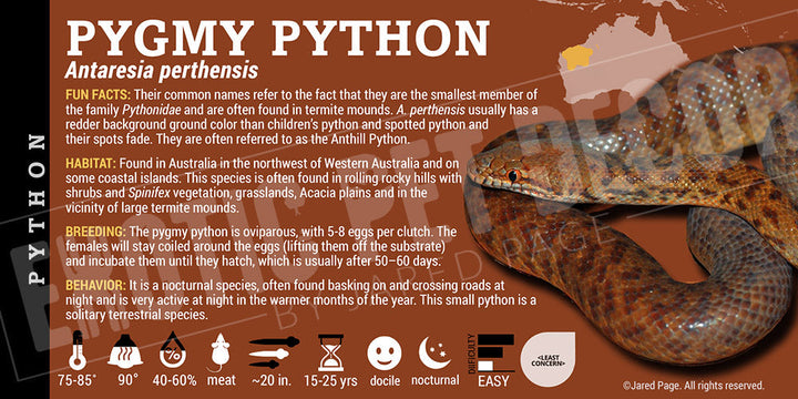 Python Snake Collector Cards and Enclosure Labels – Exotic Pet Decor