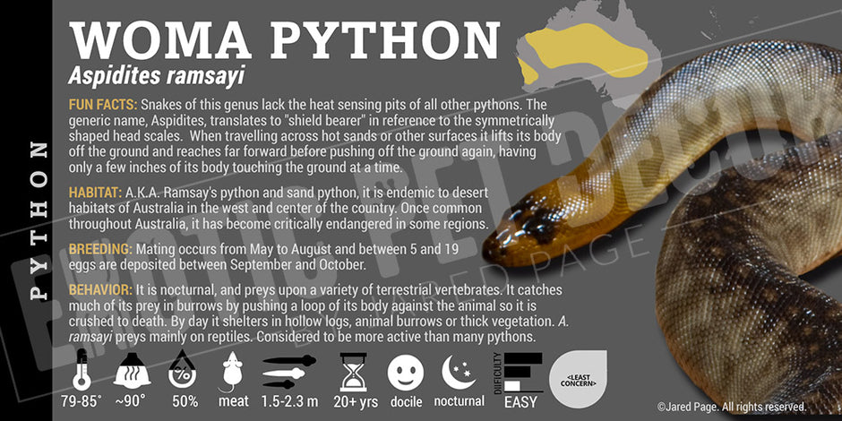 Woma Python Enclosure Design Python Snake Collector Cards and Enclosure Labels – Exotic Pet Decor