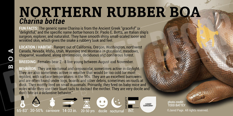 Boa Snake Collector Cards and Enclosure Labels – Exotic Pet Decor