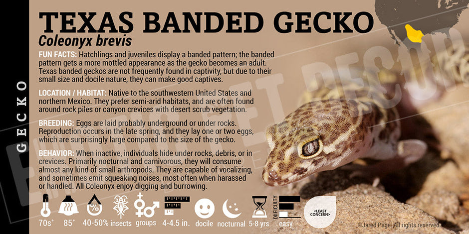 Gecko Collector Cards and Enclosure Labels – Exotic Pet Decor