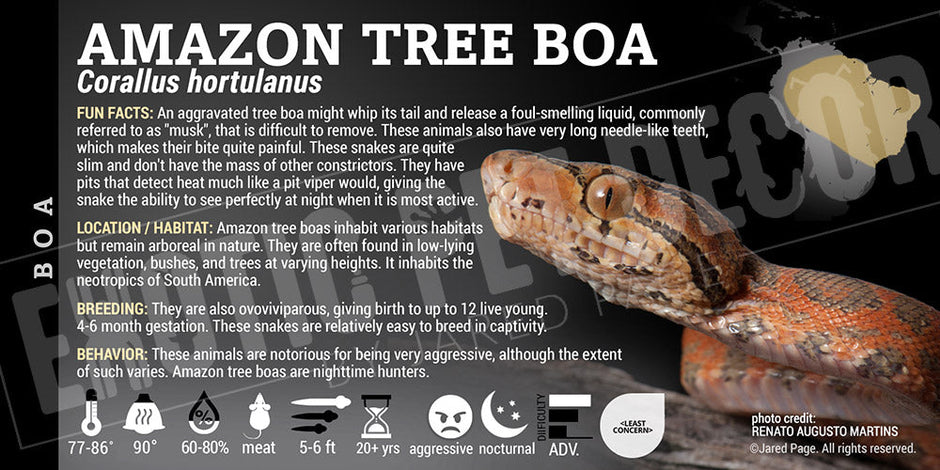 Boa Snake Collector Cards and Enclosure Labels – Exotic Pet Decor