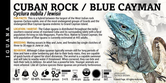 Iguana Collector Cards and Enclosure Labels β Exotic Pet Decor