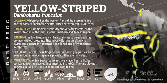 Dendrobates truncatus 'Nilo' Dart Frog Label