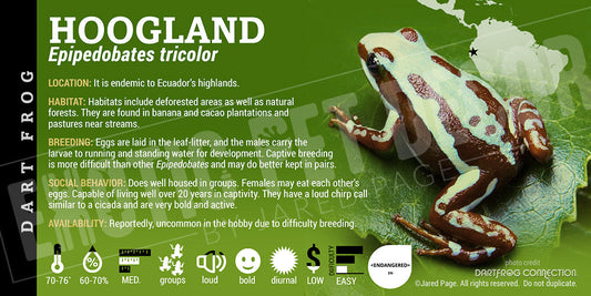 Epipedobates tricolor 'Hoogland' Dart Frog Label