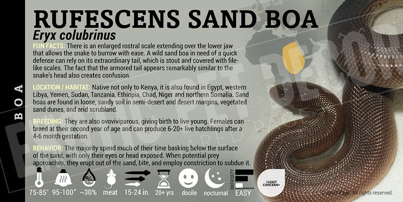Eryx colubrinus 'Rufescens Sand' Boa Cards and Enclosure Labels ...