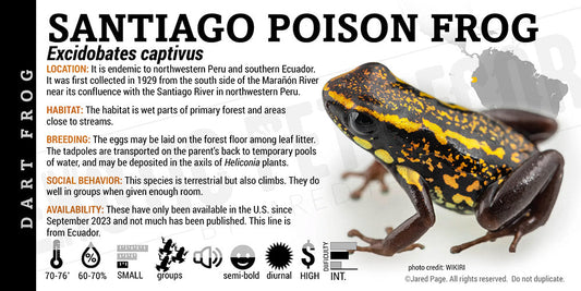 Excidobates captivus 'Santiago Poison Dart Frog Label' Dart Frog Label