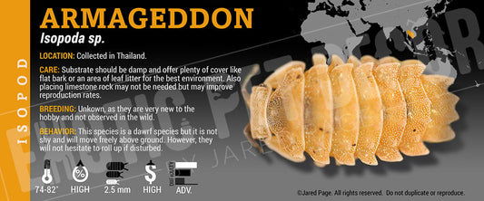 Isopoda sp 'Armageddon' isopod label