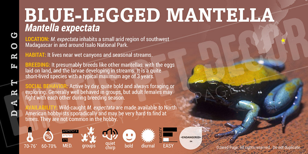 Mantella expectata 'Blue Leg Mantella' Dart Frog Label