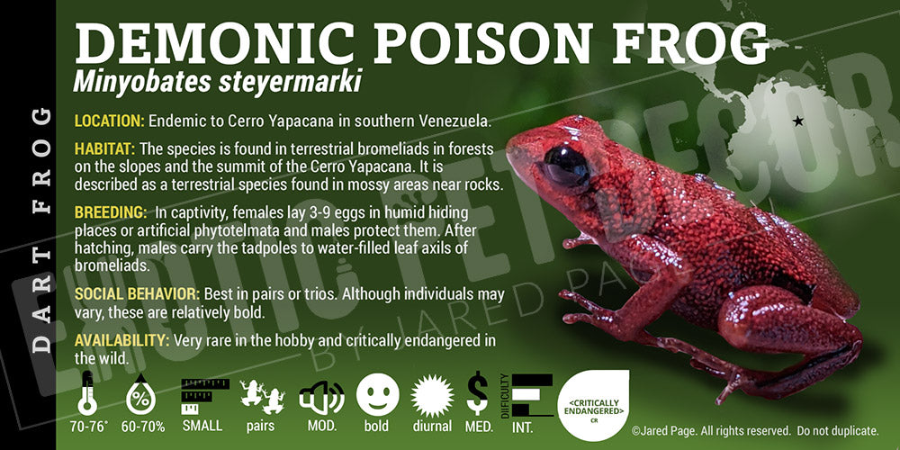 Minyobates steyermarki 'Demonic Poison Dart Frog Label' Dart Frog Label