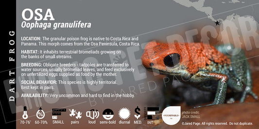 Oophaga granifulera 'Osa' Dart Frog Label