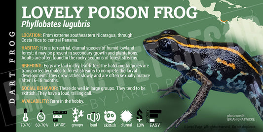 Phyllobates lugubris 'Lovely Poison Dart Frog Label' Dart Frog Label