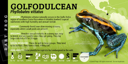 Phyllobates vittatus  Dart Frog Label