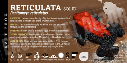 Ranitomeya reticulata Card