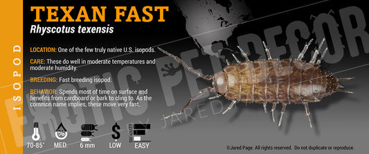 Rhyscotus texensis 'Texan Fast' isopod label