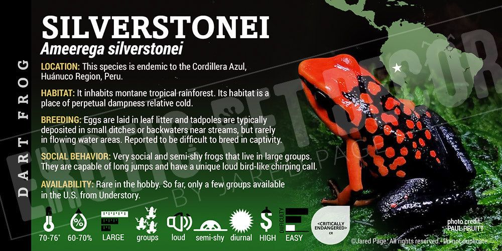 Ameerega silverstoni Dart Frog Label