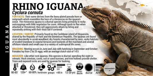 Iguana Collector Cards and Enclosure Labels β Exotic Pet Decor