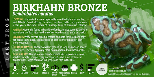 Dendrobates auratus 'Birkhahn Bronze' Dart Frog Label