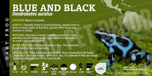 Dendrobates auratus 'Blue And Black' Dart Frog Label