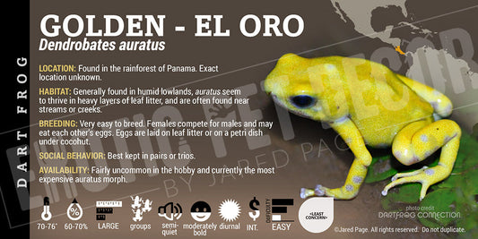 Dendrobates auratus 'Golden' Dart Frog Label
