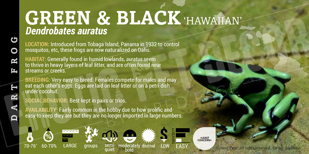 Dendrobates auratus 'Green And Black' Dart Frog Label