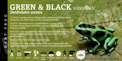 Dendrobates auratus 'Green And Black' Dart Frog Label