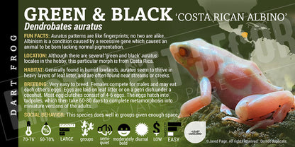 Dendrobates auratus 'Green And Black' Dart Frog Label