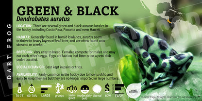 Dendrobates auratus 'Green And Black' Dart Frog Label