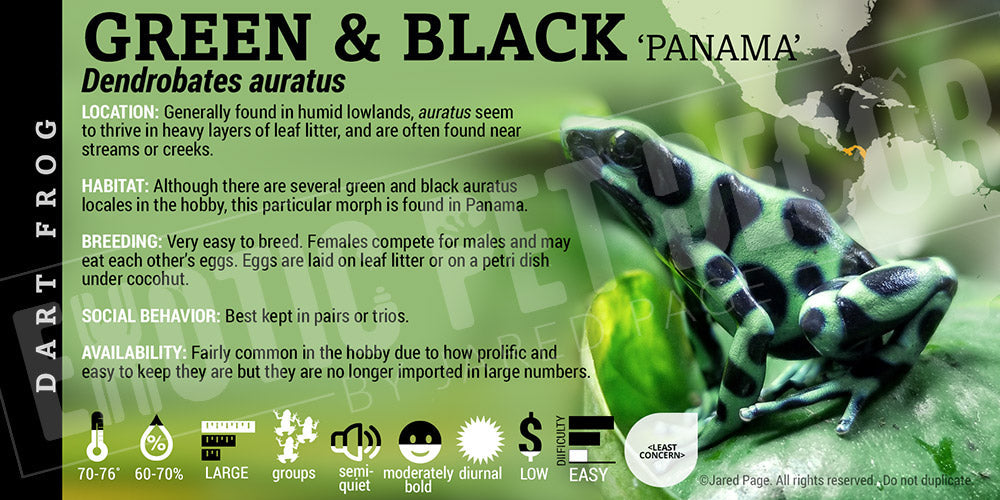 Dendrobates auratus 'Green And Black' Dart Frog Label