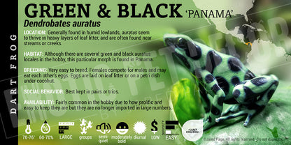 Dendrobates auratus 'Green And Black' Dart Frog Label