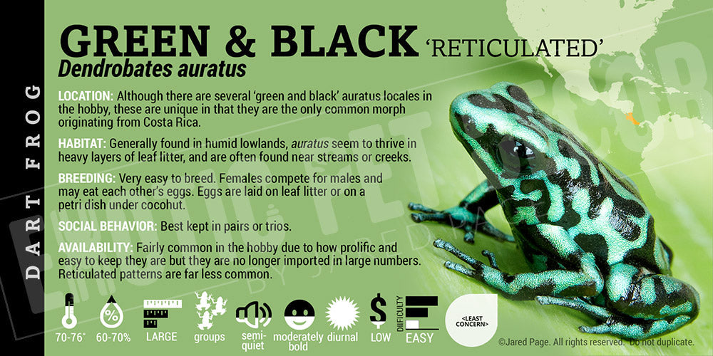 Dendrobates auratus 'Green And Black' Dart Frog Label